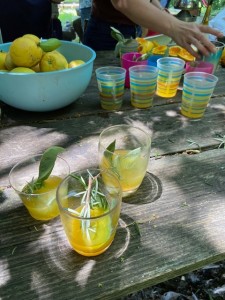 480931450_680464640973740_7480660868682132942_n