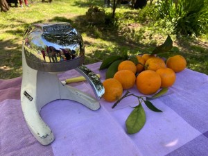 481772942_689135086773362_8882692040102347605_n