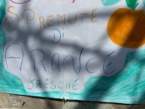 482213486_689140840106120_2388230428146245934_n