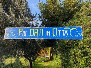 486810601_9188108747967342_7743119135545900016_n