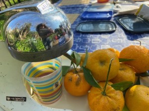 487556534_9188108587967358_4167857204092267858_n