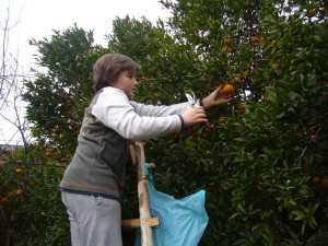 509230578_9803907329720811_3080747857628257826_n