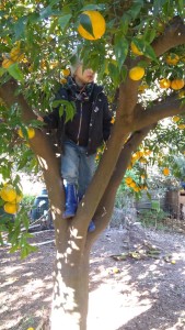 81706709_2456860801092204_3232231493199724544_n