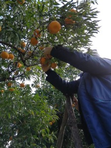 81887491_2455994431178841_3329210325735047168_n