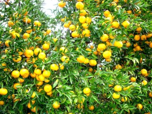 81958036_2455995081178776_2766121004919947264_n