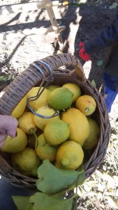 81998133_2456862377758713_8719712556471549952_n