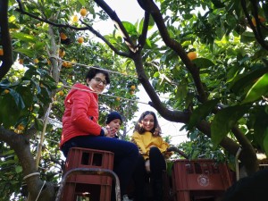 82386382_2456861071092177_1069965065983098880_n