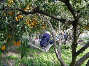 82578382_2455994384512179_8679780140986662912_n