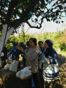 82896099_2484045511707066_4872314366344560640_n