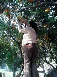 82996657_2484045128373771_1454573984271040512_n