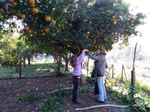 83176131_2483560191755598_3122014922918068224_n