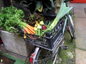 orto in bici