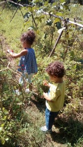 LABORATORI BIMBI